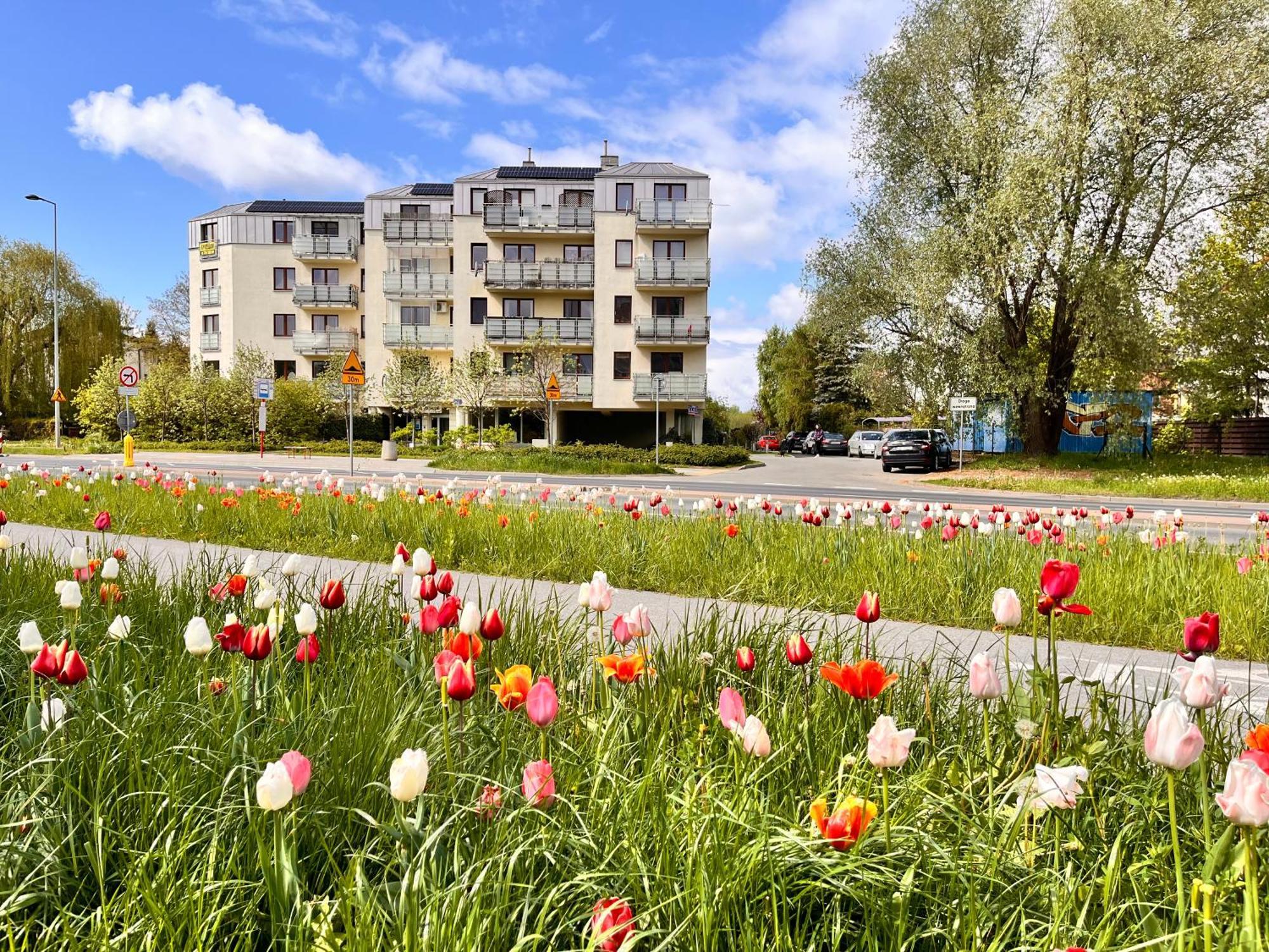 Apartament Roentgena 16 Przy Centrum Onkologii I Klinice Novum Varşova Dış mekan fotoğraf